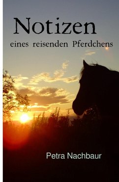 Notizen (eBook, ePUB) - Nachbaur, Petra