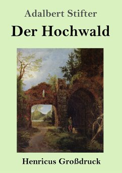 Der Hochwald (Großdruck) - Stifter, Adalbert