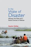 In the Wake of Disaster (eBook, PDF)
