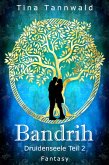 Bandrih (eBook, ePUB)