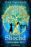Sliochd (eBook, ePUB)