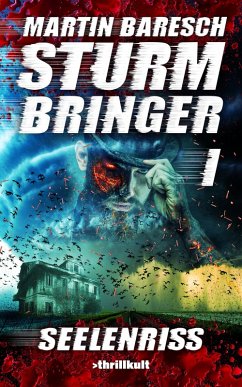 Cover STURMBRINGER - SEELENRISS (eBook, ePUB)