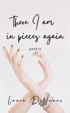There I am in Pieces Again (eBook, ePUB)