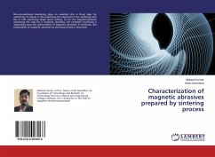 Characterization of magnetic abrasives prepared by sintering process
