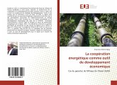 La coopération énergétique comme outil de développement économique