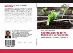 Gasificación de lecho fluidizado burbujeante - García Valladolid, Ricardo Ismael