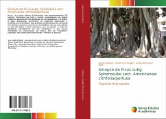 Sinopse de Ficus subg. Spherosuke sect. Americanae: citrifolia/pertusa