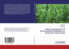 Impact Assessment of Environmental Pollution on Economic Food Crops