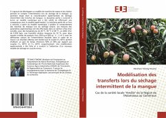 Modélisation des transferts lors du séchage intermittent de la mangue - Tétang Fokoné, Abraham