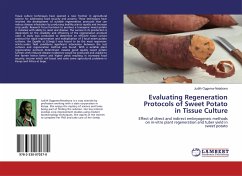Evaluating Regeneration Protocols of Sweet Potato in Tissue Culture