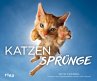 Katzensprünge - Bild 1