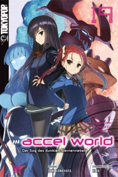 Accel World / Accel World - Novel Bd.19 - Kawahara, Reki;Hima;Biipii