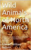 Wild Animals of North America / Intimate Studies of Big and Little Creatures of the Mammal Kingdom (eBook, PDF)