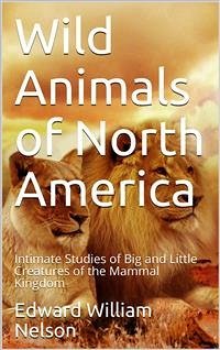 Wild Animals of North America / Intimate Studies of Big and Little Creatures of the Mammal Kingdom (eBook, PDF) - William Nelson, Edward