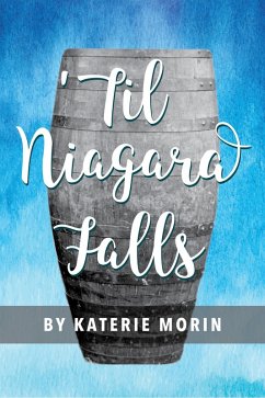 'Til Niagara Falls (eBook, ePUB) - Morin, Katerie
