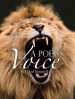 A Poet's Voice (eBook, ePUB) - Bild 1