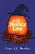 The Phoenix Cave (eBook, ePUB) - Bild 1