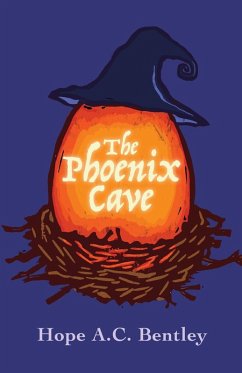 Cover The Phoenix Cave (eBook, ePUB)