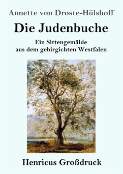 Die Judenbuche (Großdruck) - Droste-Hülshoff, Annette von