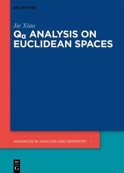 Qa Analysis on Euclidean Spaces (eBook, ePUB) - Xiao, Jie