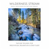 Wilderness Stream (without music) - Peaceful Water Sounds with Deep Forest Ambience (MP3-Download)