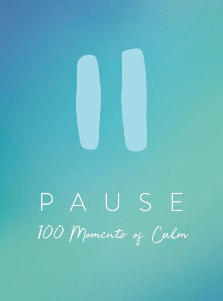 Pause (eBook, ePUB)