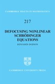 Defocusing Nonlinear Schrodinger Equations (eBook, PDF)