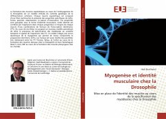 Myogenèse et identité musculaire chez la Drosophile - Boukhatmi, Hadi