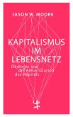 Kapitalismus im Lebensnetz