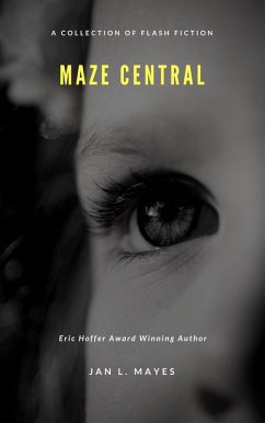 Maze Central: A Collection of Flash Fiction (eBook, ePUB) - Mayes, Jan L.