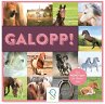 Galopp! (Spiel) - Bild 1