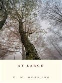 At Large (eBook, ePUB)