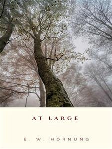 At Large (eBook, ePUB) - W. Hornung, E.