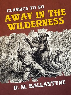 Away in the Wilderness (eBook, ePUB) - Ballantyne, R. M.