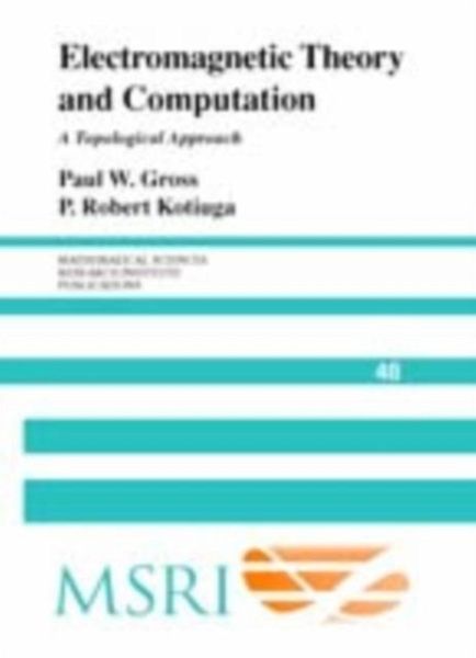 Electromagnetic Theory and Computation (eBook, PDF)