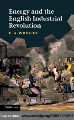 Energy and the English Industrial Revolution (eBook, PDF) - Wrigley, E. A.