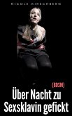 Über Nacht zu Sexsklavin gefickt (BDSM) (eBook, ePUB)