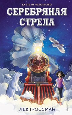 Серебряная Стрела (eBook, ePUB) - Гроссман, Лев