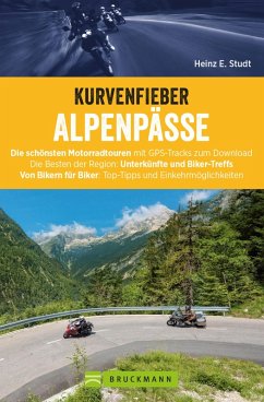 Cover Kurvenfieber Alpenpässe: Motorradreiseführer für die Alpen (eBook, ePUB)