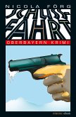 Schussfahrt (eBook, ePUB)