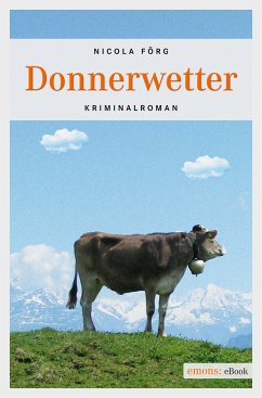 Donnerwetter (eBook, ePUB) - Förg, Nicola