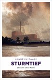 Sturmtief (eBook, ePUB)