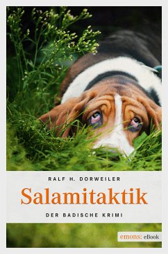 Salamitaktik (eBook, ePUB) - Dorweiler, Ralf H