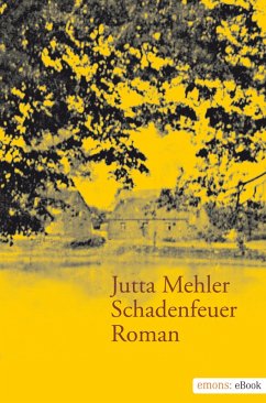 Schadenfeuer (eBook, ePUB) - Mehler, Jutta