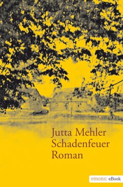 Cover Schadenfeuer (eBook, ePUB)