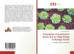 Estimation of production losses due to ridge-tillage in Busogo Sector - Ndahimana, Anastase