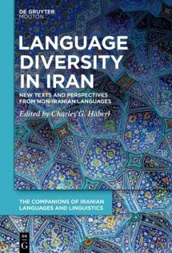 Cover Language Diversity in Iran