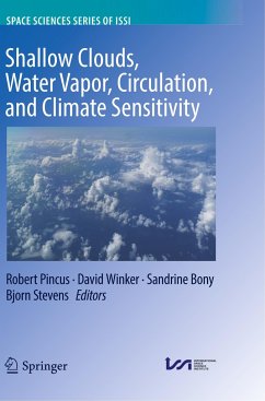 Shallow Clouds, Water Vapor, Circulation, and Climate Sensitivity