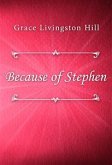 Because of Stephen (eBook, ePUB)