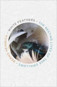 White Feathers - Heinrich, Bernd